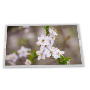  High Resolution 20.1-Inch WLED LCD Display Module Custom ODM Specific Application 1600*1200 TFT IPS Panel RGB LM201U04-SL03 Manufactures