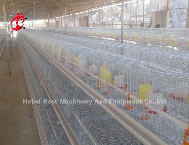 Q235 A Type 3 Tiers Pullet Chicken Cage Silver Galvanized Adela
