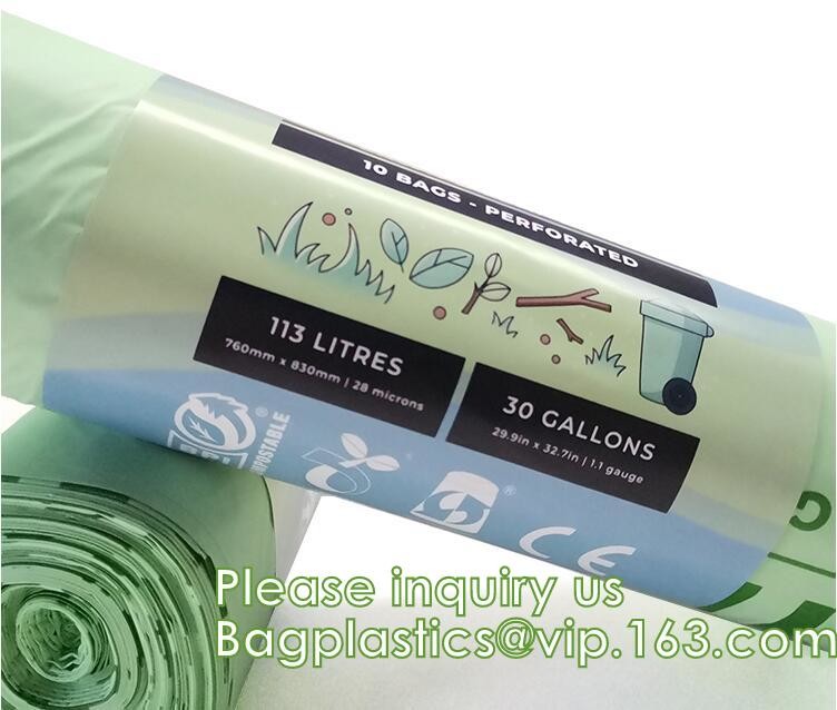 Bagease Bagplastics TUV OK Compost Certificate Custom Logo Resealable Plant Corn Starch Biodegradable Bag for Seeds