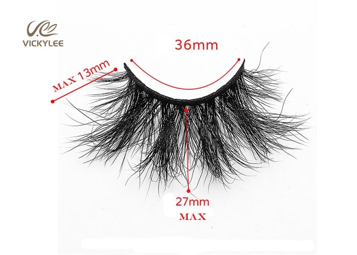 Fan Shaped Whole Strip Cotton Stalk 5D Volume Lashes