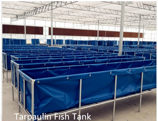 1000 Litres Tarpaulin Fish Tank , Foldable Fish Tank For Aquaculture Farms Fish Pond Plastic Tank