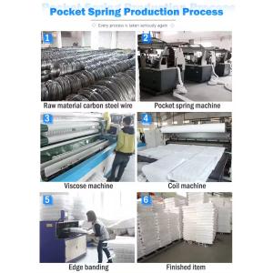 Sofa Individually Wrapped Spring Coil System Customized Sofa Pocket Spring