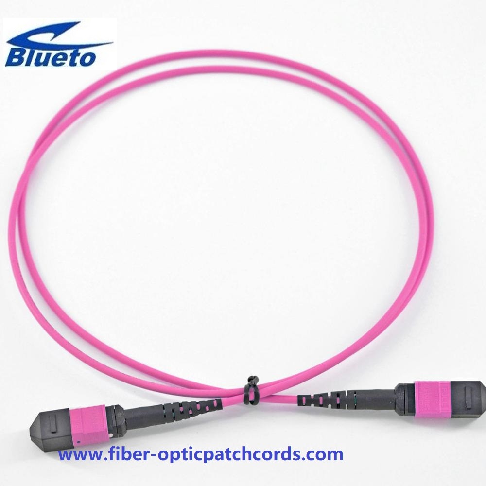 Violet MPO MTP OM4 Fiber Optic Patch Cord 24 Core UPC Polish