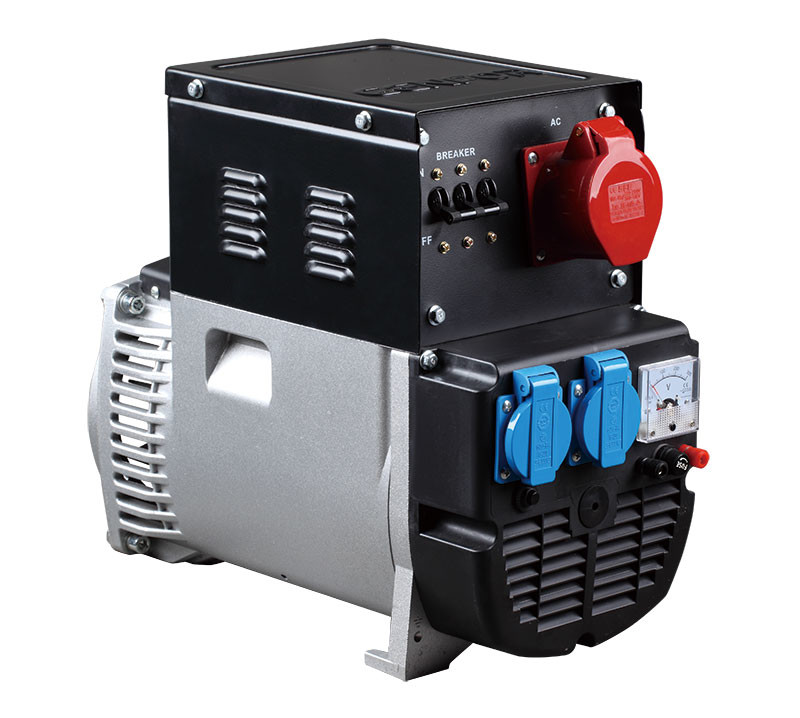 3.0KW Single-phase Alternator Double Bearing Alternator High Output Alternator