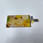 5.46 Inch IPS TFT Display 720*1280 MIPI Interface Display