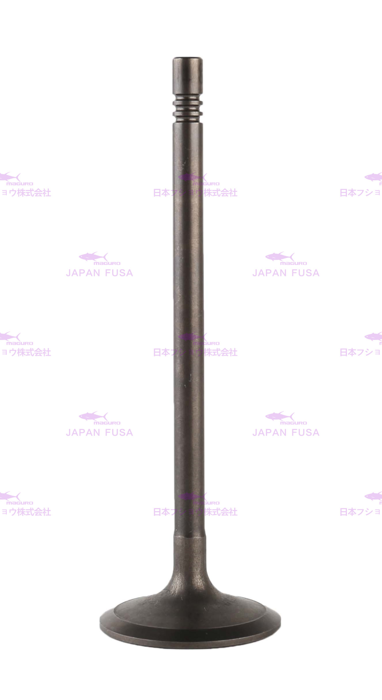 3142H091 Diesel Engine Valve , Fuel Intake Valve C6.6 For CAT 320D 323D 326D 329D 336