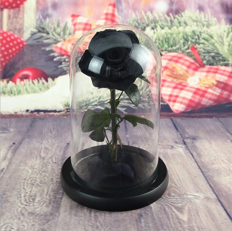 Preserved Fresh Flower Live Enchanted Rose in Glass Dome Cover with Gift Box Forever Real Rose Everlasting Flower