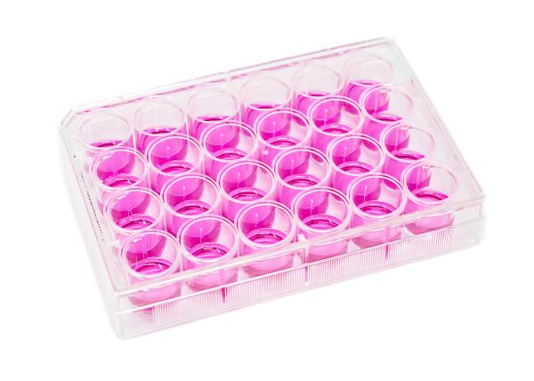 Disposable Transparent Polystyrene 6 Well Bacterial Cell Culture Plate Flat
