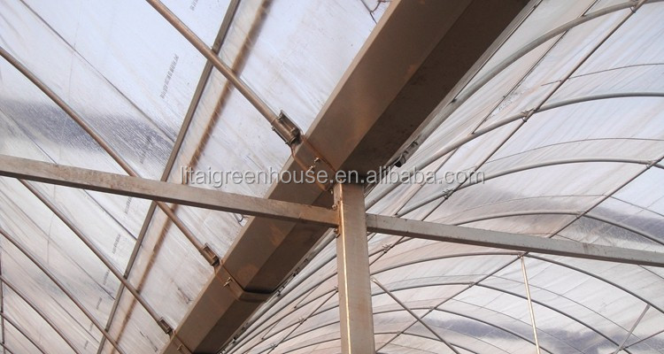 Transparent Agricultural Greenhouse for Mushroom Farming Length 30-100m or Customized