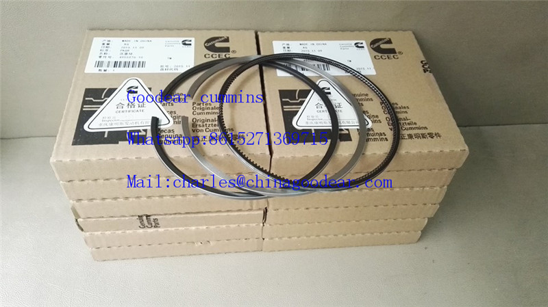 Chongqing K19 diesel engine piston ring 4955976,2881745