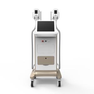  Strongest cooling system Freezing Cryolipolysis Machine Manufactures