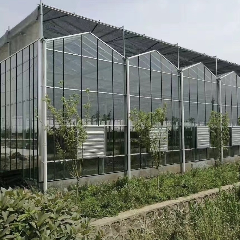 Multi Shading Screen Glass Greenhouse Hydroponics