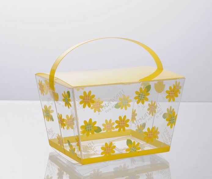blister floding boxes