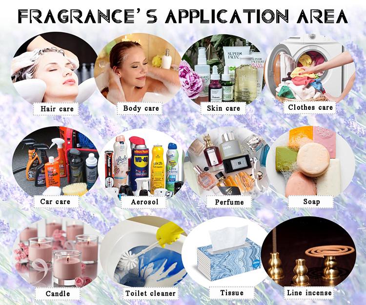 Welcome Designer Branded Perfume Fragrances For Long Lasting Floral Perfume