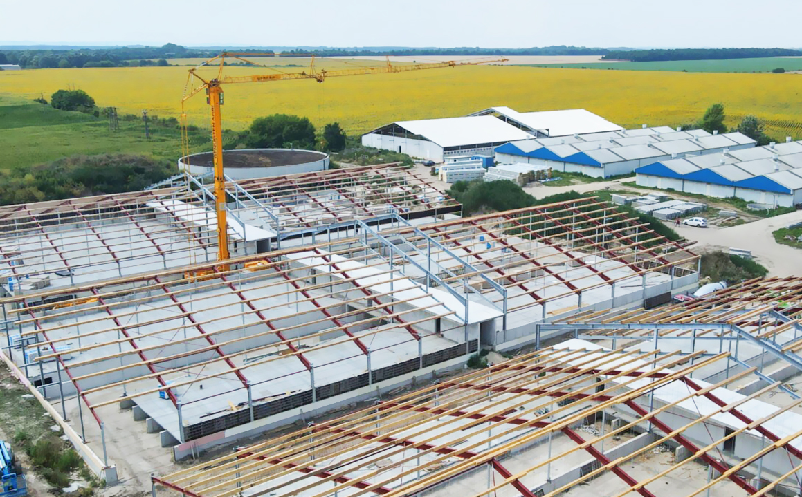 Aluminum Alloy Window Prefab Steel Construction Agricultural Building for Cattle Barn