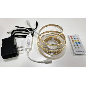 DC12V/24V Input Voltage LED Strip Kit with Dimmable COB Lights and Smart Driver