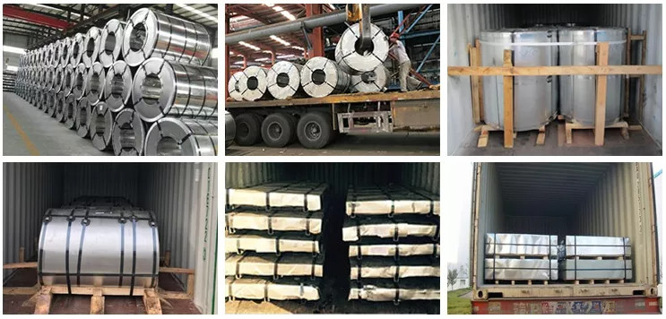 Zinc Coated G90 Galvanized Steel Sheet JIS G3302 SGHC Prepainted Gi Steel Coil
