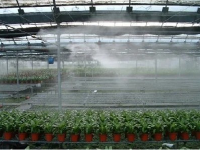 Steel Frame Agricultural Multi Span Greenhouse For Year Round Crop Production