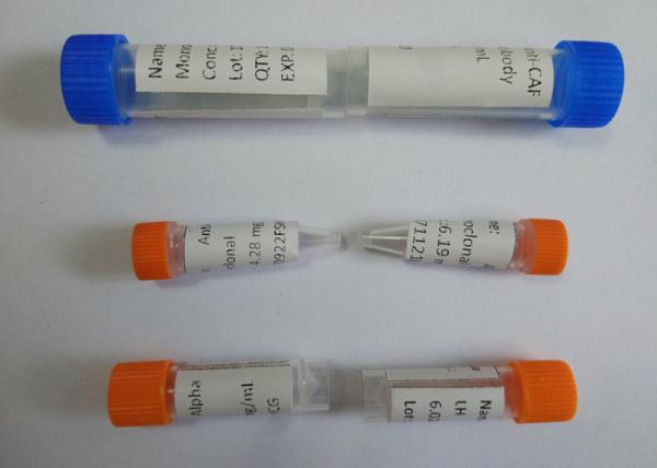 Urine Specimen Mouse Anti-Morphine Monoclone Antibody Drug of Abuse For IVD