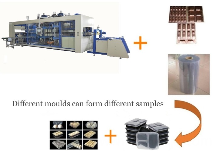 Automatic Thermoforming Blister Machine Process Multi Station