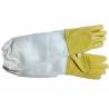 Buy cheap Durable Yellow Sheepskin Beekeeping gloves with white soft ventilated part, from wholesalers