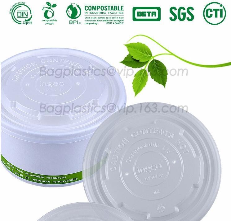 Meal Prep Containers Free Sample Bento Lunch Box Biodegradable Food Container Plastic Wheat Straw Lunch Box bagplastics