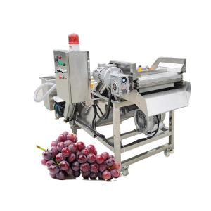 tomato paste strawberry jam making machine bubble washer bubbling washing