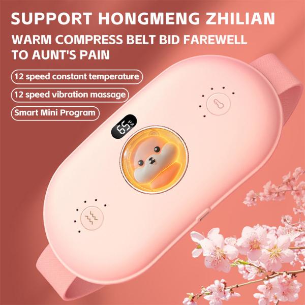 Wireless Remote Control Style Vibration Massager for Body Application Rated Power 2.5W