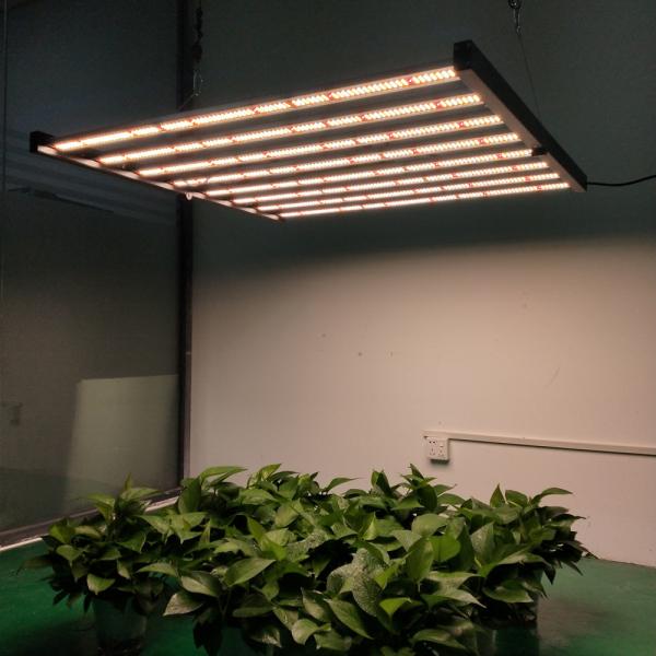 640 w 2.8umol/J HPS Grow Lamp Replacing Indoor Waterproof Grow Light