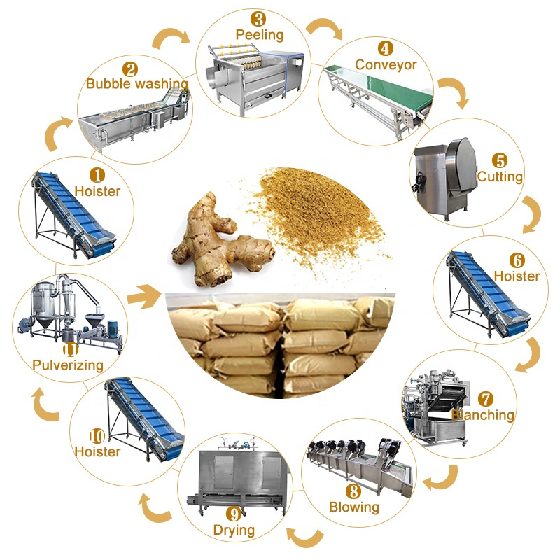 Vegetable Wash And Sorting Production Line For Cleaning Lemon Mango Avocado Olive Washing Drying Grading Machine