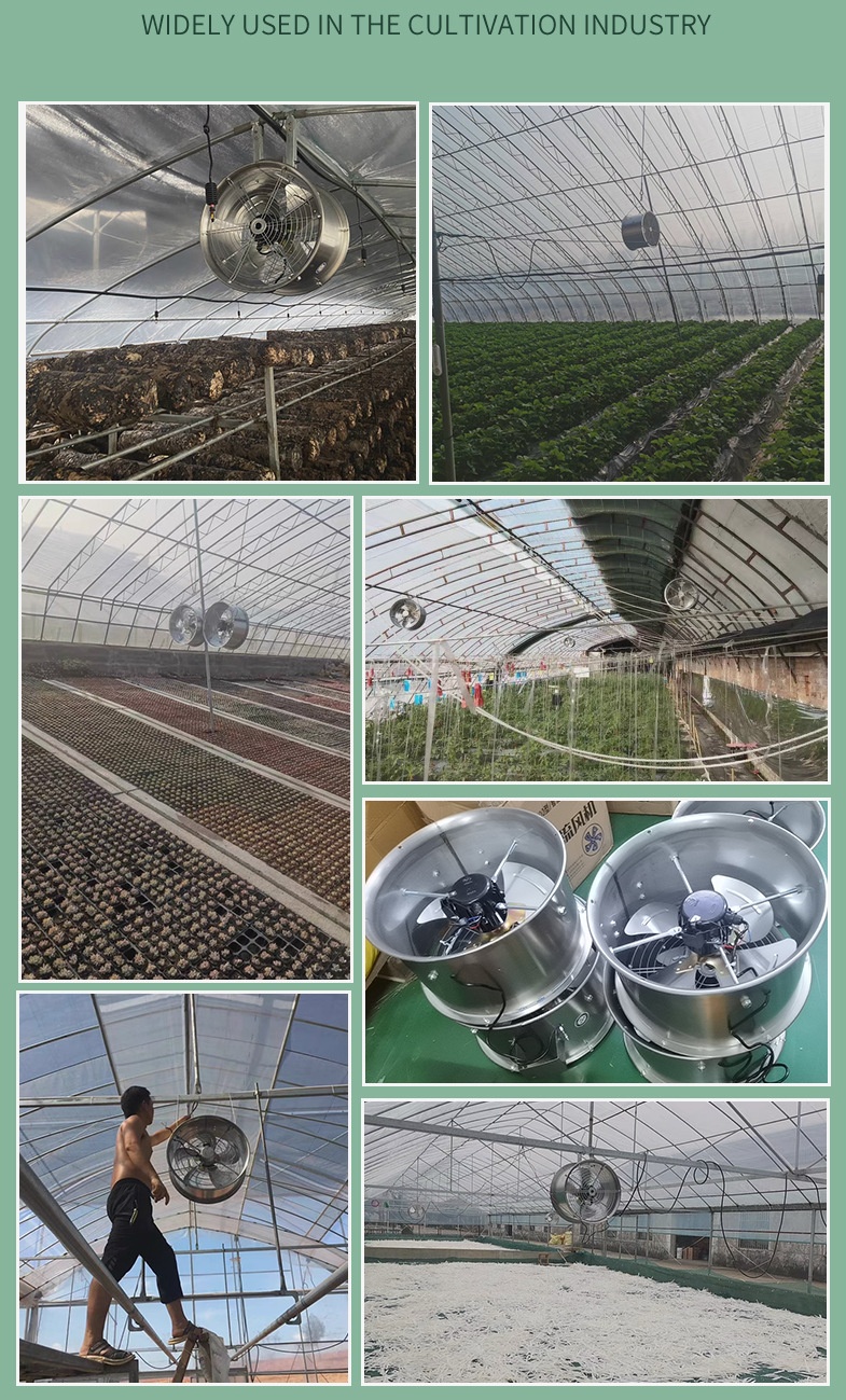 Qingzhou Factory 1380mm Box Fan Poultry Chicken Farm Industrial Axial Flow Industrial Ventilation Exhaust Fan