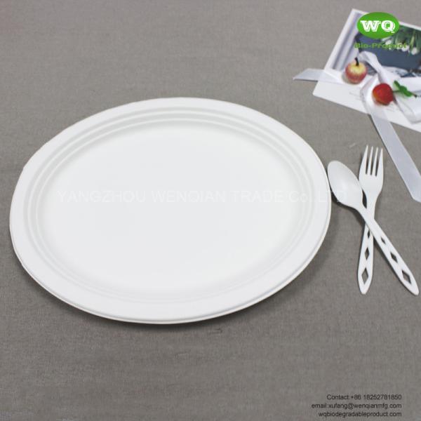 10/12 Inch biodegradable sugarcane Oval Plate-Wholesale Water-proof bagasse