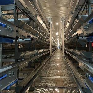 Modern Automated Battery Cage System Nipple Drinking Hot Dip Galvanized