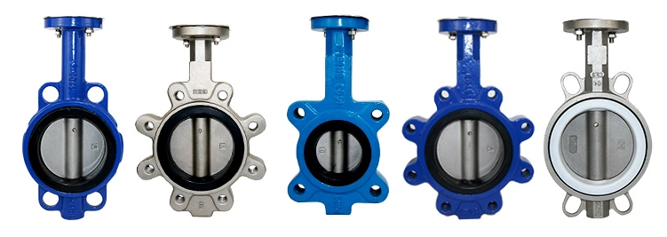 ODM Supported Lug Type Butterfly Valve with Customized Port Size and Safety Features