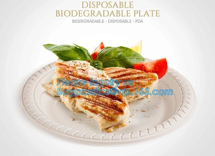 Meal Prep Containers Free Sample Bento Lunch Box Biodegradable Food Container Plastic Wheat Straw Lunch Box bagplastics