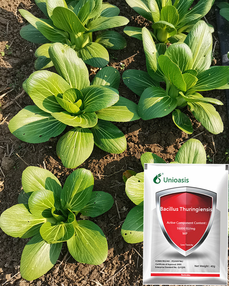 WP Vegetable Biological Insecticides Bacillus Thuringiensis for Garden Soil