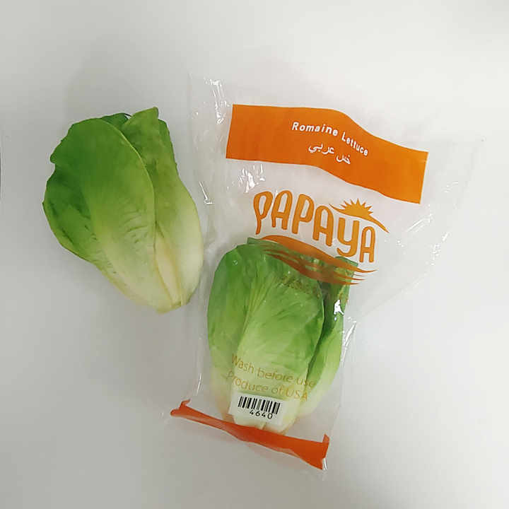 Lettuce Bags Flowerbags, floral sleeves, Multi Color Printed Lettuce Bag With Punch Holes And Wicket Part