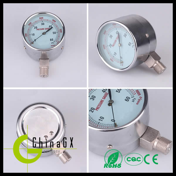 316 All Stainless Steel SS Case Pressure Gauge Miniature Type