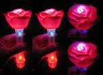 blinking rose