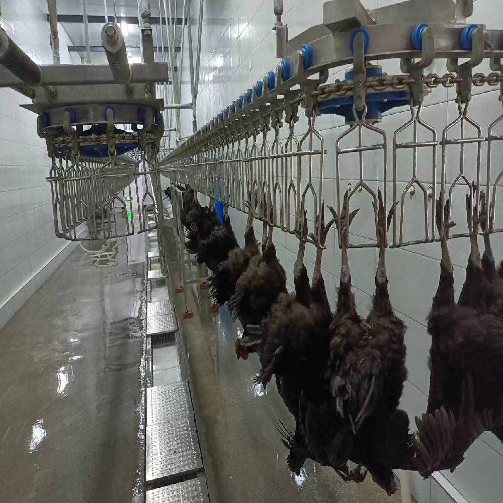 3400KG Halal Poultry Slaughterhouse Equipment Turkey Duck Broiler Chicken Processing