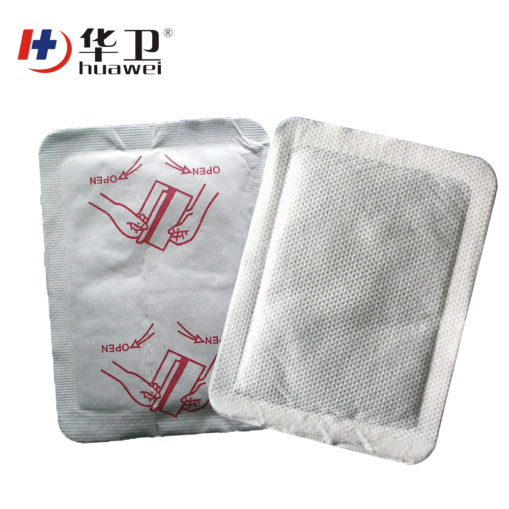 Chinese traditional remedy pill for back pain