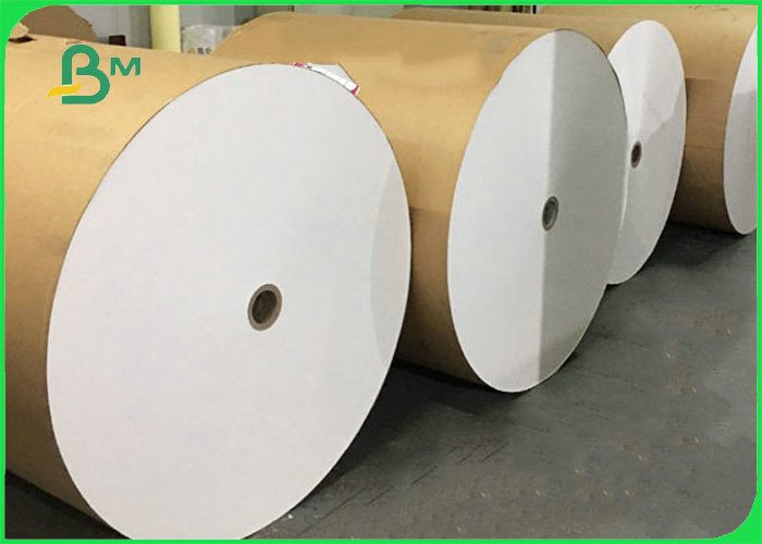 Disposable 300gsm + 10g PE Lunch Box Paper For Food Packing 100% Biodegradable