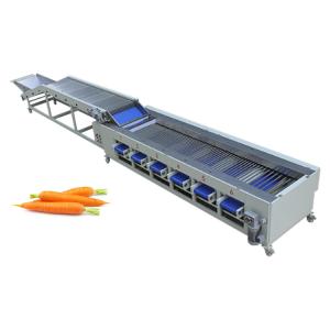 Carrot Onion Potato Grading Machine Fruit And Vegetable Sorting Machine