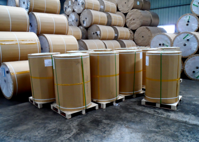 C1S High Glossy Paper One Side Coated 70/75/80gsm in White