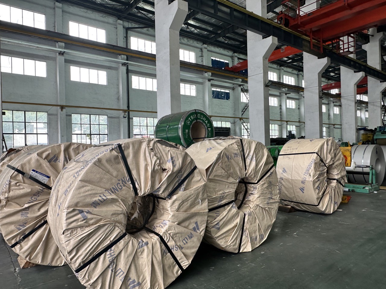 Stainless Steel Strip
