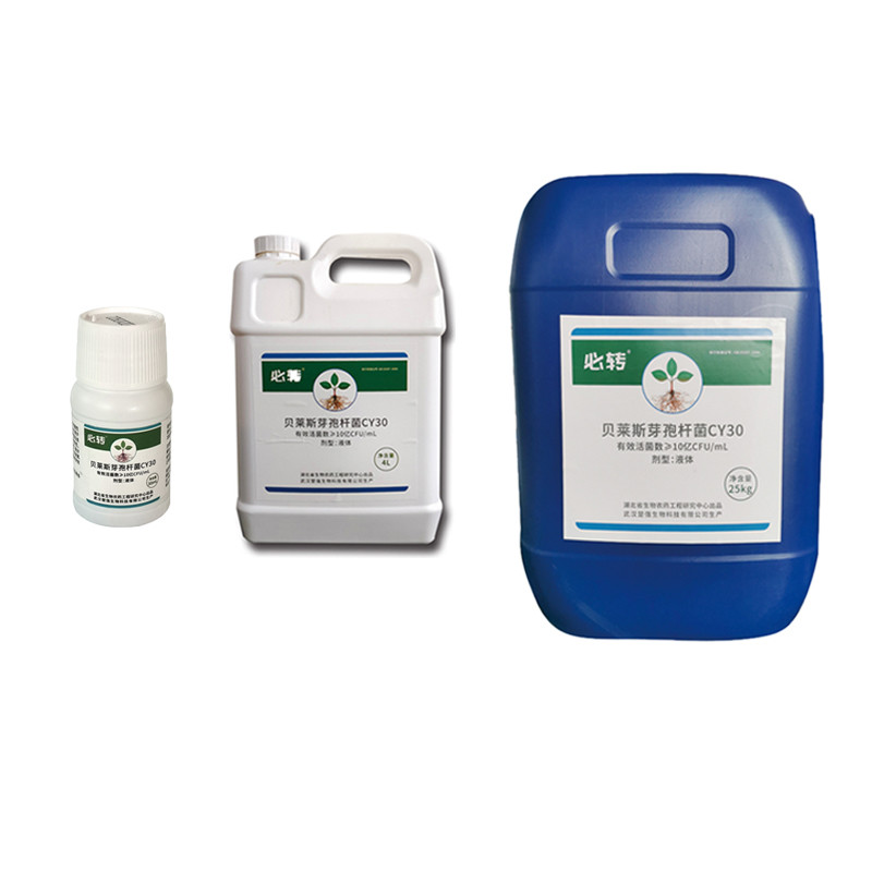 Microbial Agent Fungicide CY30 Bactericide Improve Soil Flora Prevent Root Rot Increased Yield