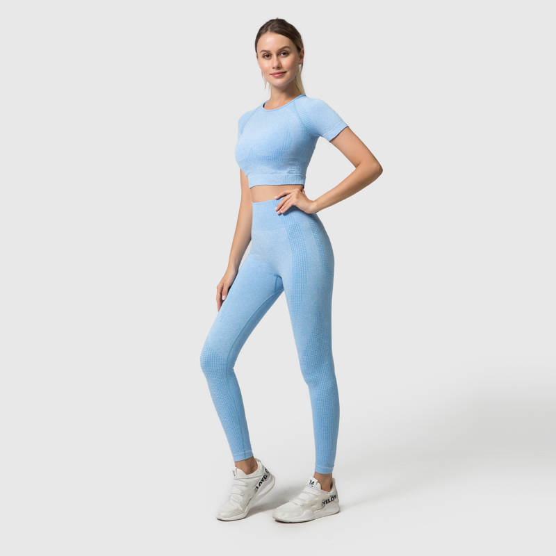 Yoga Breathable Seamless Sports Bra Leggings Stretch Fabric High Waisted Gym Leggings