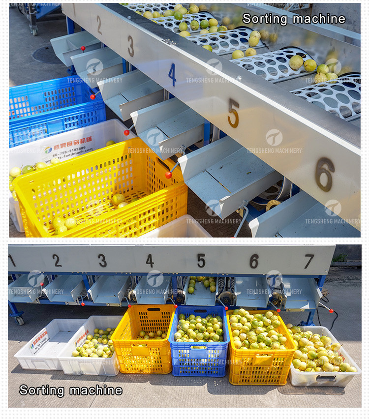 Silvery Personalization Passion Fruit And Vegetable Processing Line Fruit Cleansing Drying