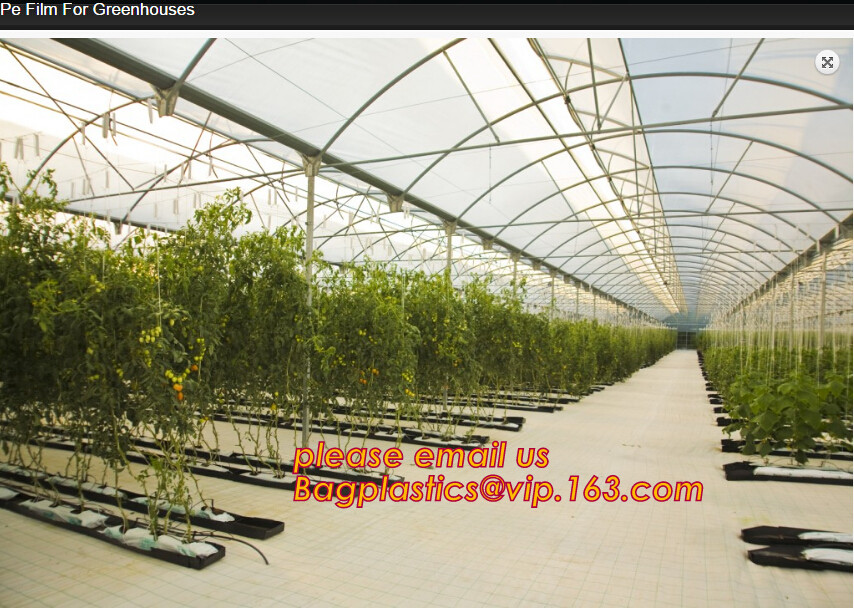 Garden plant protect cover anti insect net/agricultural plastic mesh insect proof net,agricultural wide varieties frost