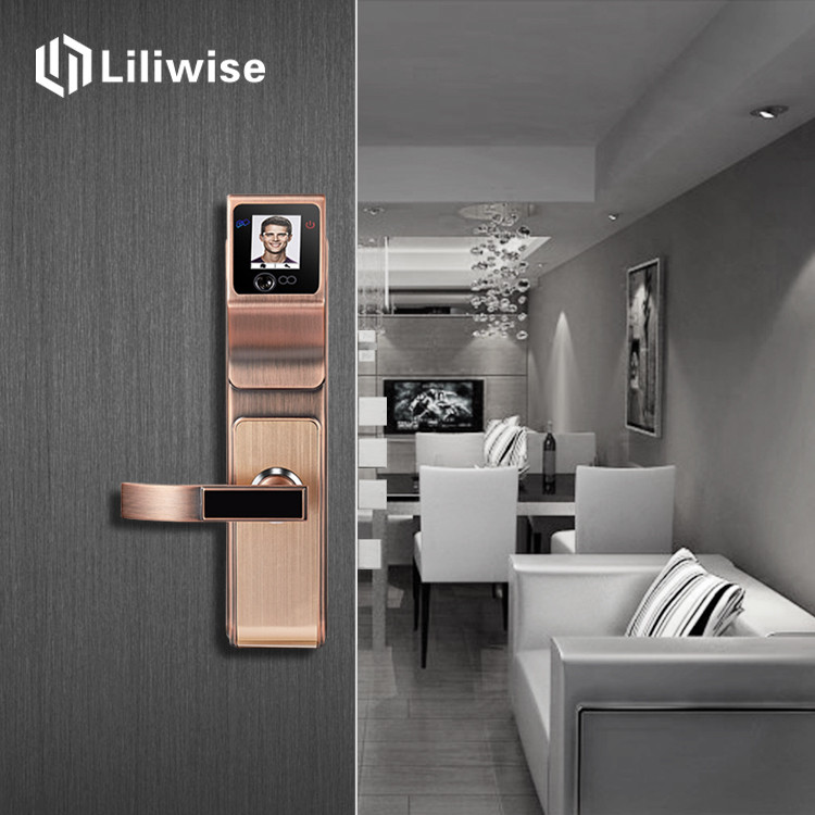Digital Electronic Keyless Door Locks , Face And Finger Recognition Door Locks